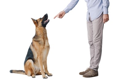 犬に指示を出す飼い主