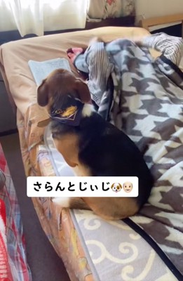 布団をかぶるおじいちゃん