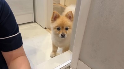 とても心配そう…！