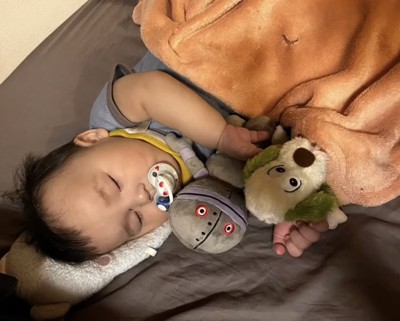 2体のぬいぐるみと眠る赤ちゃん