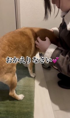 お顔をナデナデ