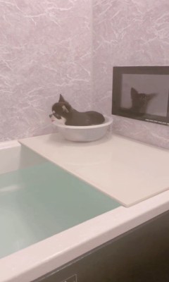 お風呂に入るすずちゃん5