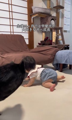 ツムギちゃんと娘さん5