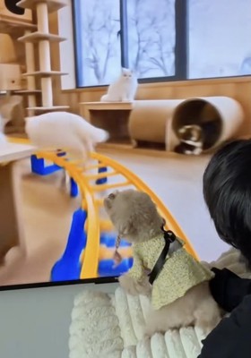 「レール走るなぁぁ」