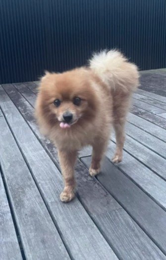 穏やかな表情に…