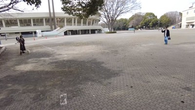 2匹に気づいたおじいちゃん