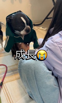 たま君と女の子の成長6