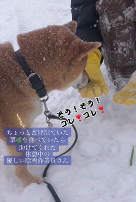 「これ好きなんだ！！」