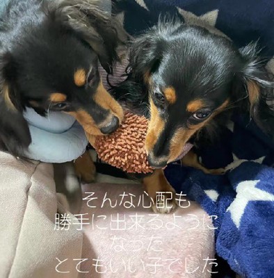 とてもお利口だった!