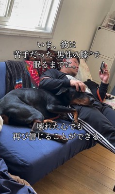 豹馬くんの変化8