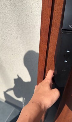 お友達が遊びに来た時のはちちゃん