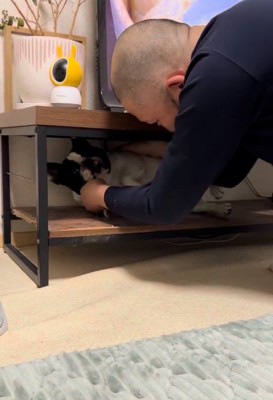 テレビ台の中の小型犬を捕まえる飼い主