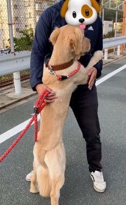 パパに抱きつくわんこ