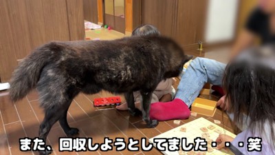 「やっぱり駒は危ない！」