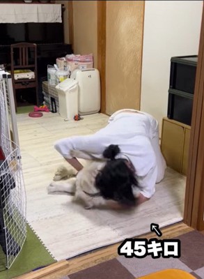 ドレミちゃんの成長6