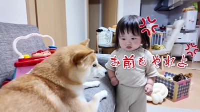 「やっぱり納得できない！」