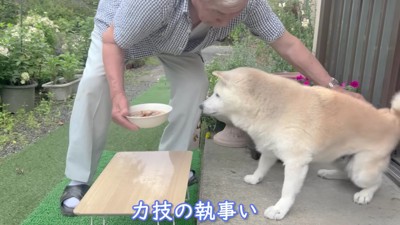 お座りを忘れてるよ！