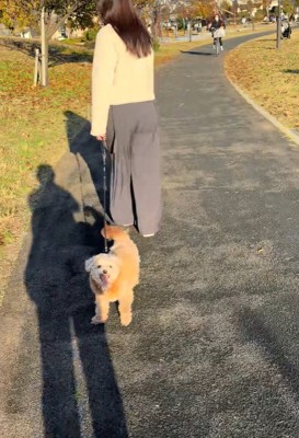 お散歩中のチャックくん2