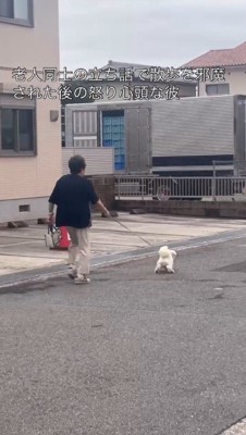 女性が持っているリードを張りながら走る犬