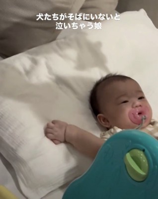 2匹と一緒に過ごしてきました