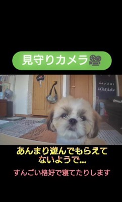 「飼い主さんの声が聞こえたような…」