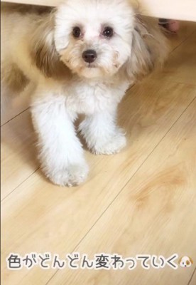 色が抜けていく…