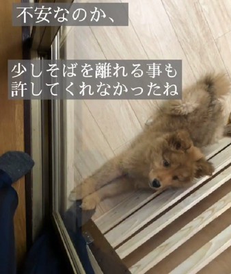 ひとりぼっちも怖い…