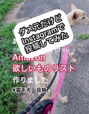 SNSでサポートを求めます