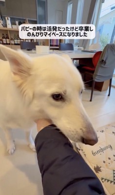 活発は卒業しました