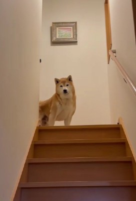 虚無な表情に爆笑！！