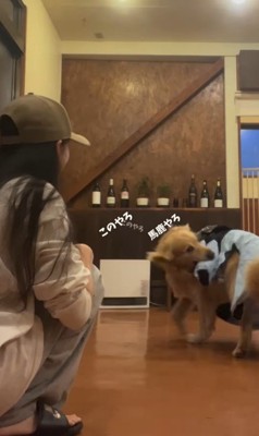 初めてカッパを着たライトくん7