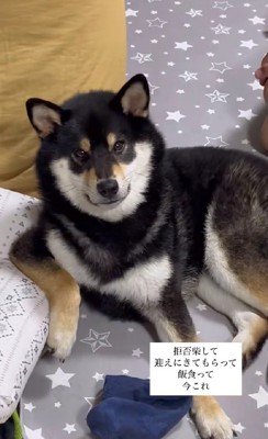 クッションに肘を置いて…