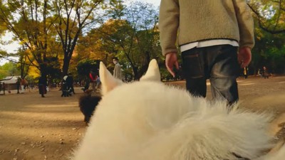 男性と犬の後姿