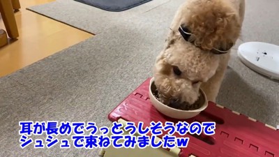 シュシュで束ねてみたら…