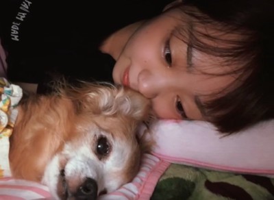 女の子と犬