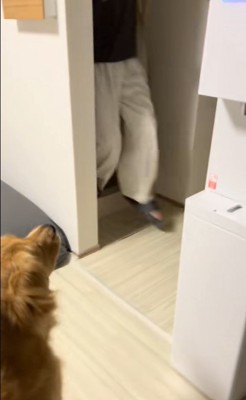 たくさん風船が出てきた時のさらちゃん2