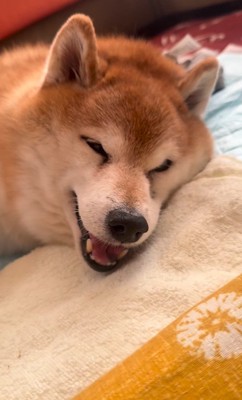 「あー、楽しかった～♪」