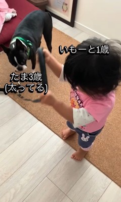 たま君と女の子の成長2