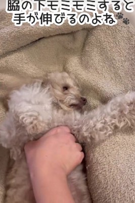 リラックスした表情にキュン♡