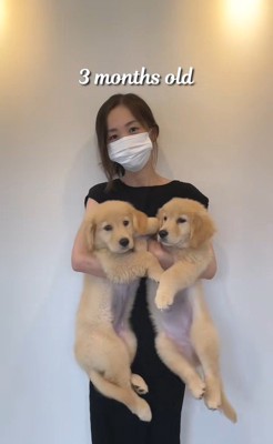 ちあちゃん&ひまわりちゃんの成長2