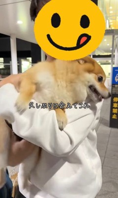 あずきちゃんとママの再会3