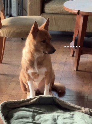 なんとなく入りづらい！？