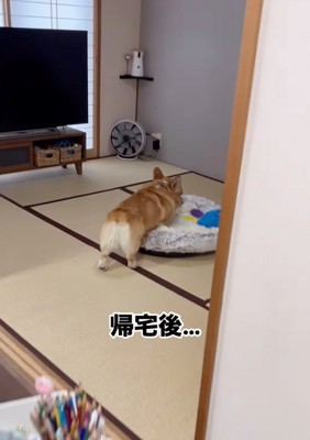 ベッドへ直行