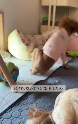 怪我を防ぐために工夫