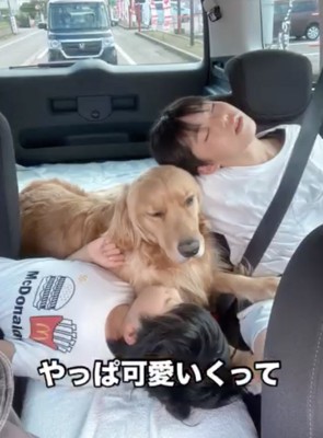 みんなでZZZ…