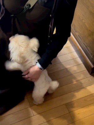 ママへの愛情表現にほっこり