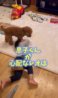 男の子を心配するレオくん