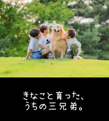 芝生の上で大型犬を囲んで座る三兄弟