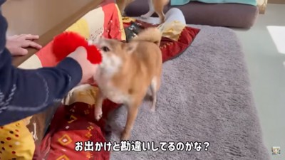 テンションが高い福ちゃん