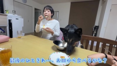 ペロリと完食！！